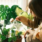 Home and Garden Projects to Tackle This Winter