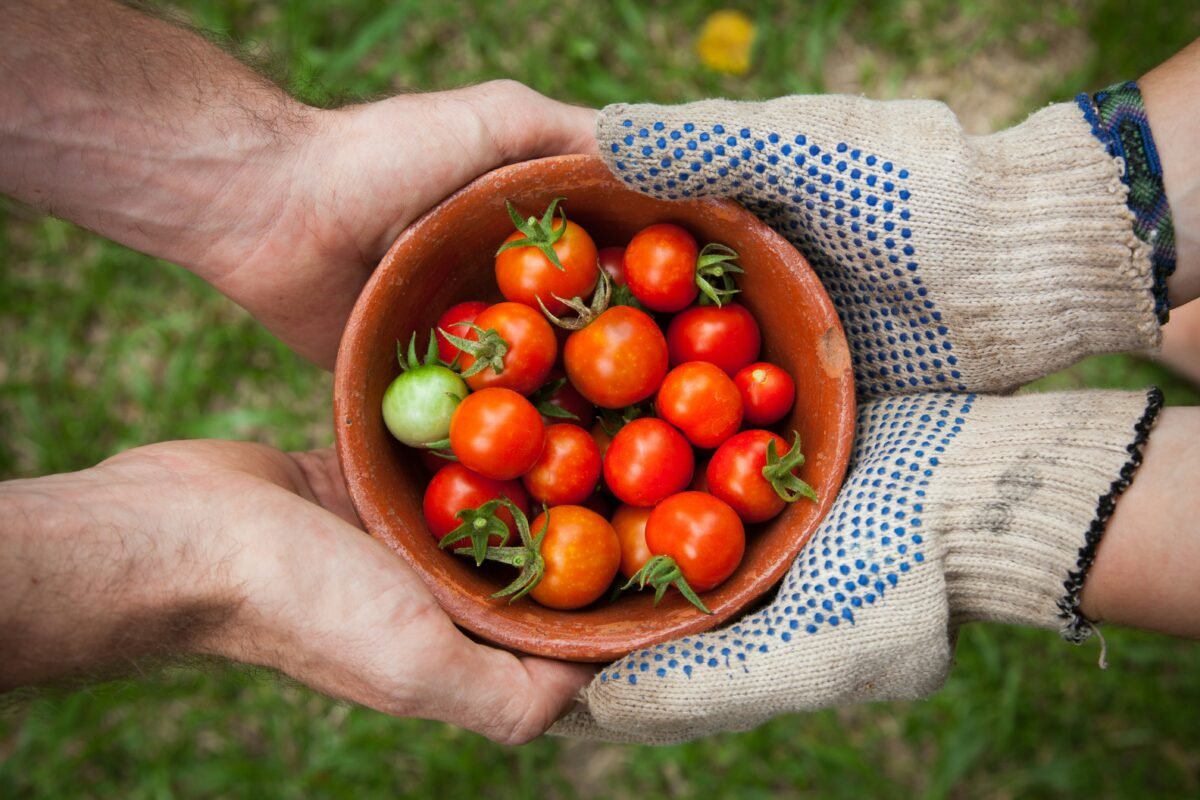 How Local Communities Are Shaping Environmental Change