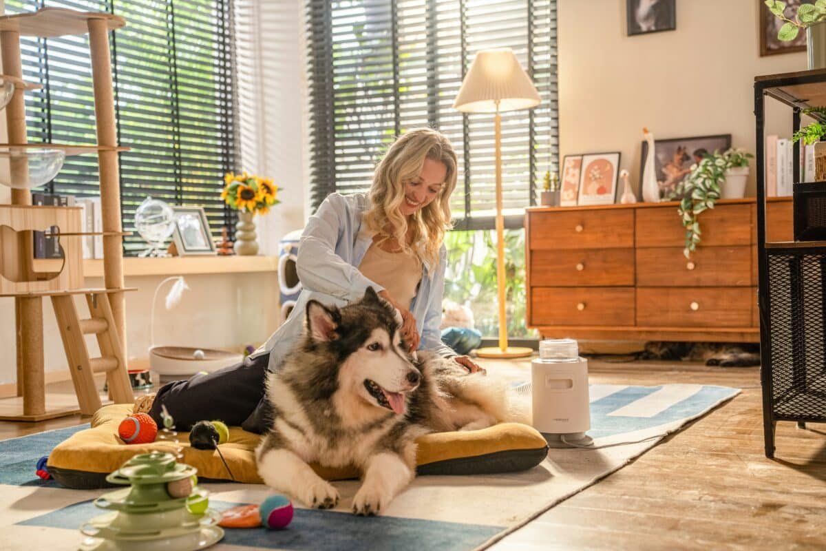 Essential Grooming Tips for Happy and Healthy Pets