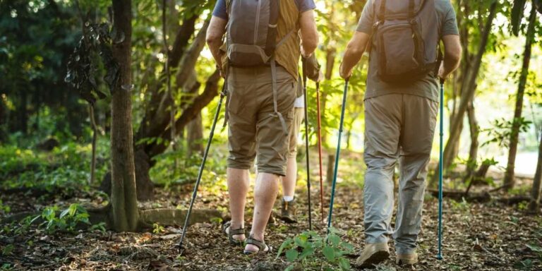 How Nordic Walking Boosts Full-Body Fitness