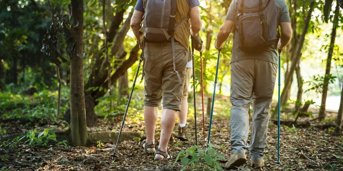 How Nordic Walking Boosts Full-Body Fitness