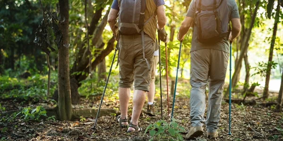 How Nordic Walking Boosts Full-Body Fitness